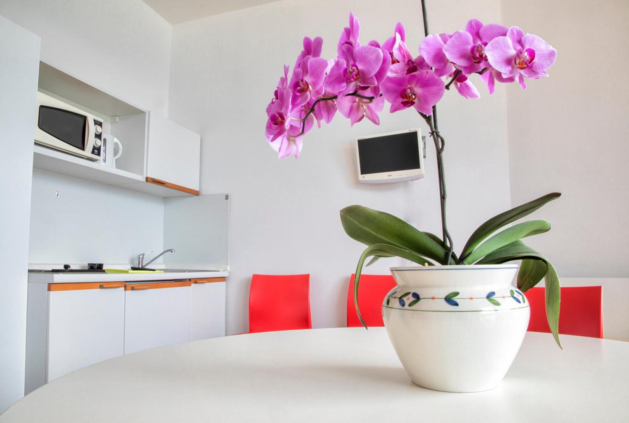 Residence Wieland Torri Del Benaco Dış mekan fotoğraf