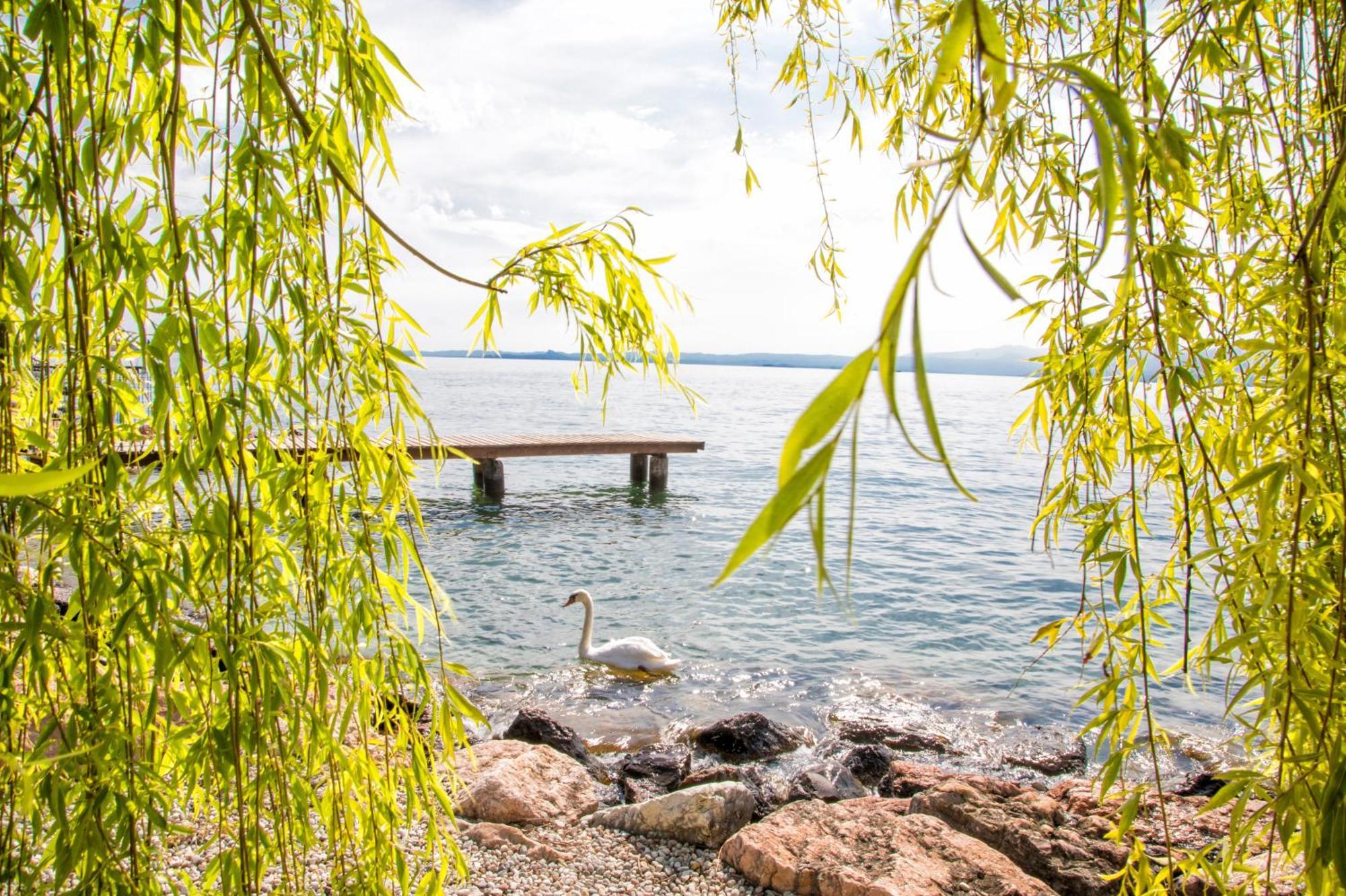 Residence Wieland Torri Del Benaco Dış mekan fotoğraf